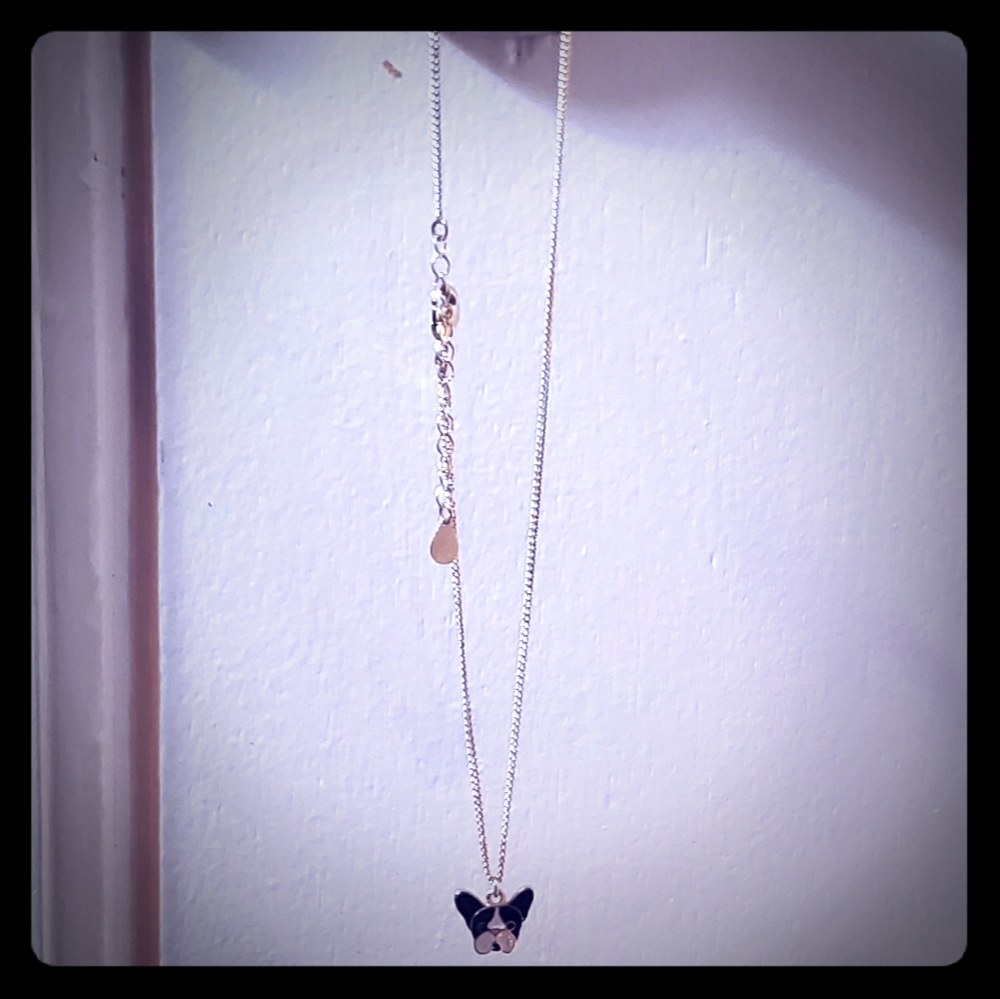 A dog necklace
